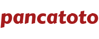 pancatoto  logo